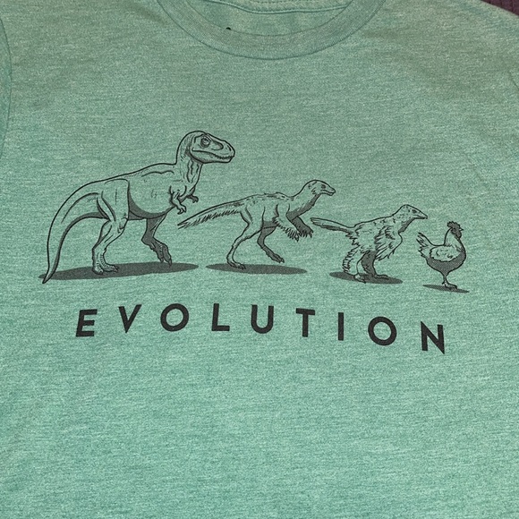Evolution t shirt - Picture 2 of 4